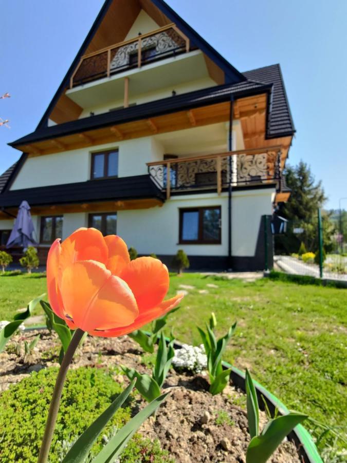 To Tu Apartment Czarna Gora Luaran gambar